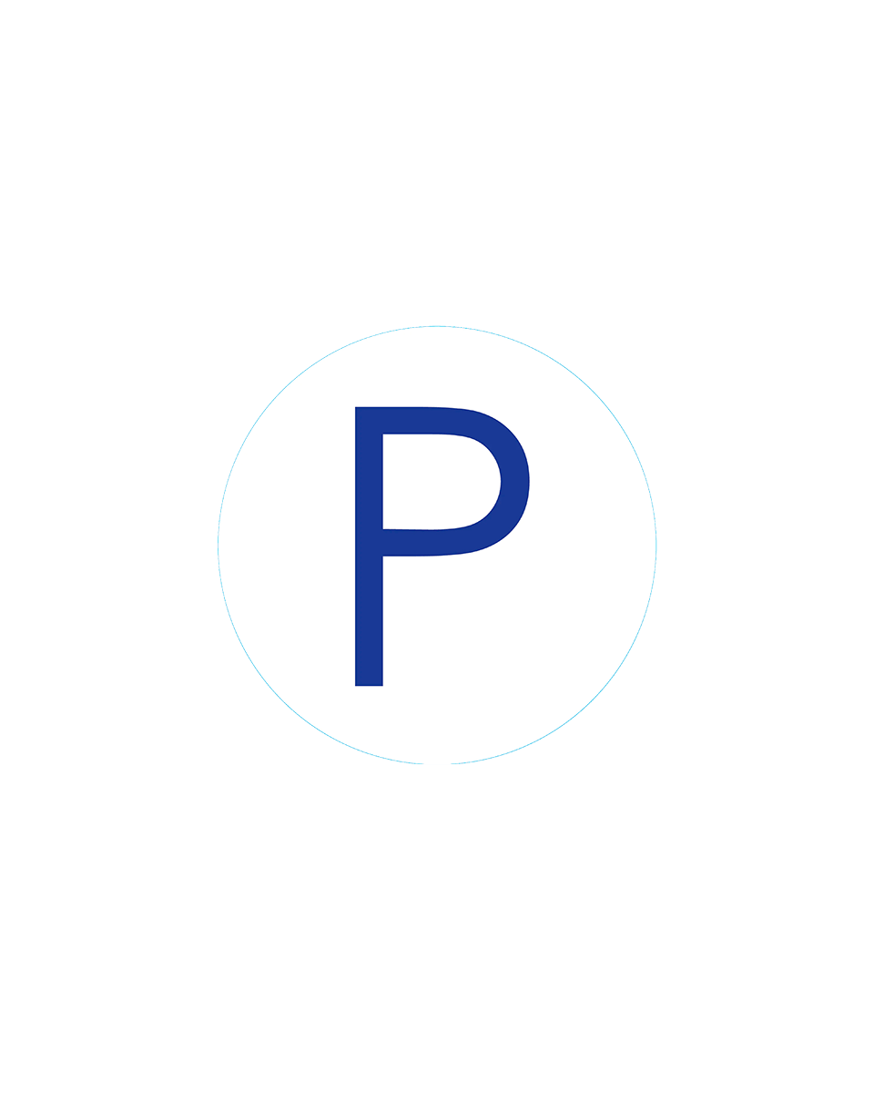 Bogg Bit - Initial 'P'